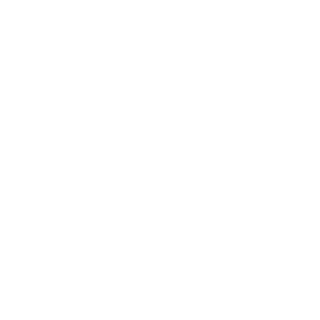 Micromax logo