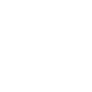 Fractal logo