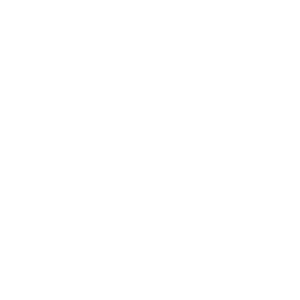 Video Director